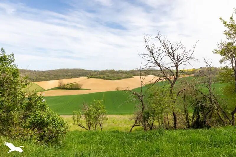 Maison à vendre, 170m², Puymirol