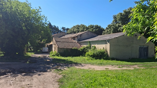 Maison 6 pièces · à Visan · 450 000 €