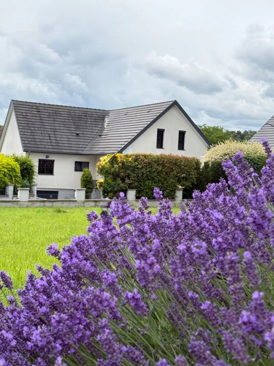 Maison à vendre, 144m², Ranspach-le-Haut