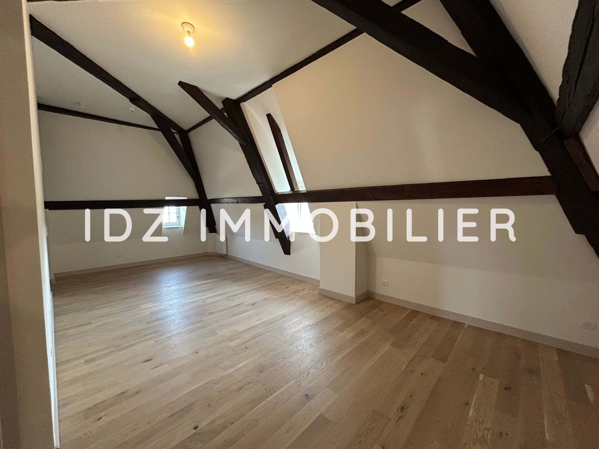 Appartement à louer, 52m², Hagenthal-le-Bas