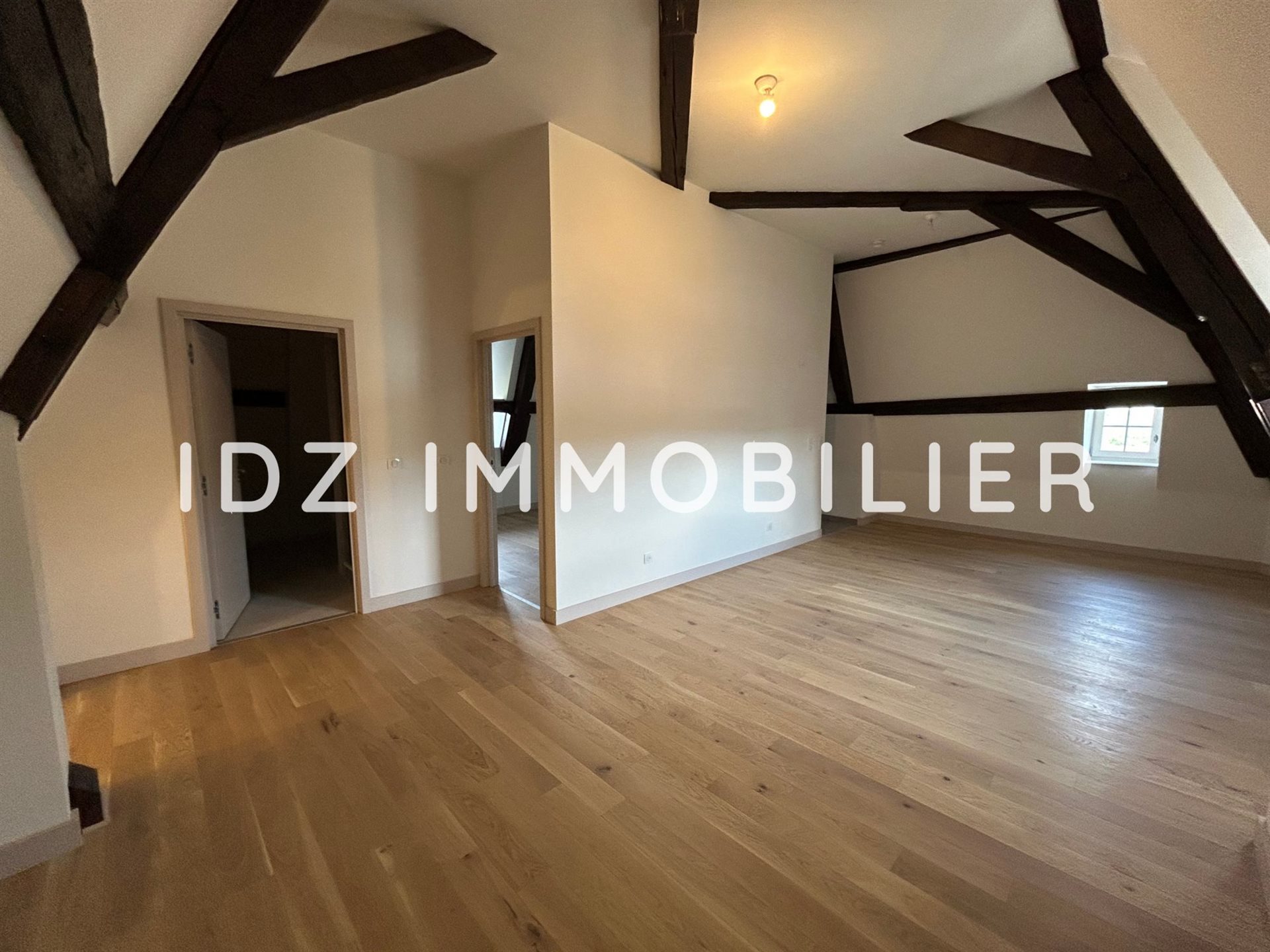 Appartement à louer, 52m², Hagenthal-le-Bas