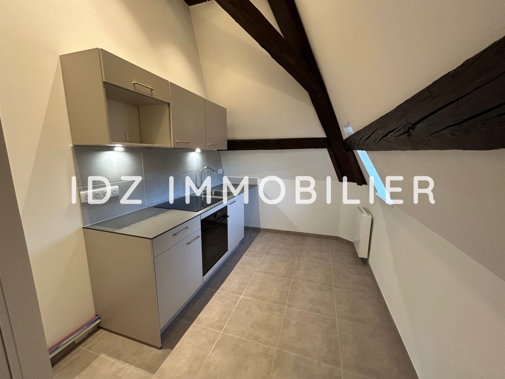 Appartement à louer, 52m², Hagenthal-le-Bas