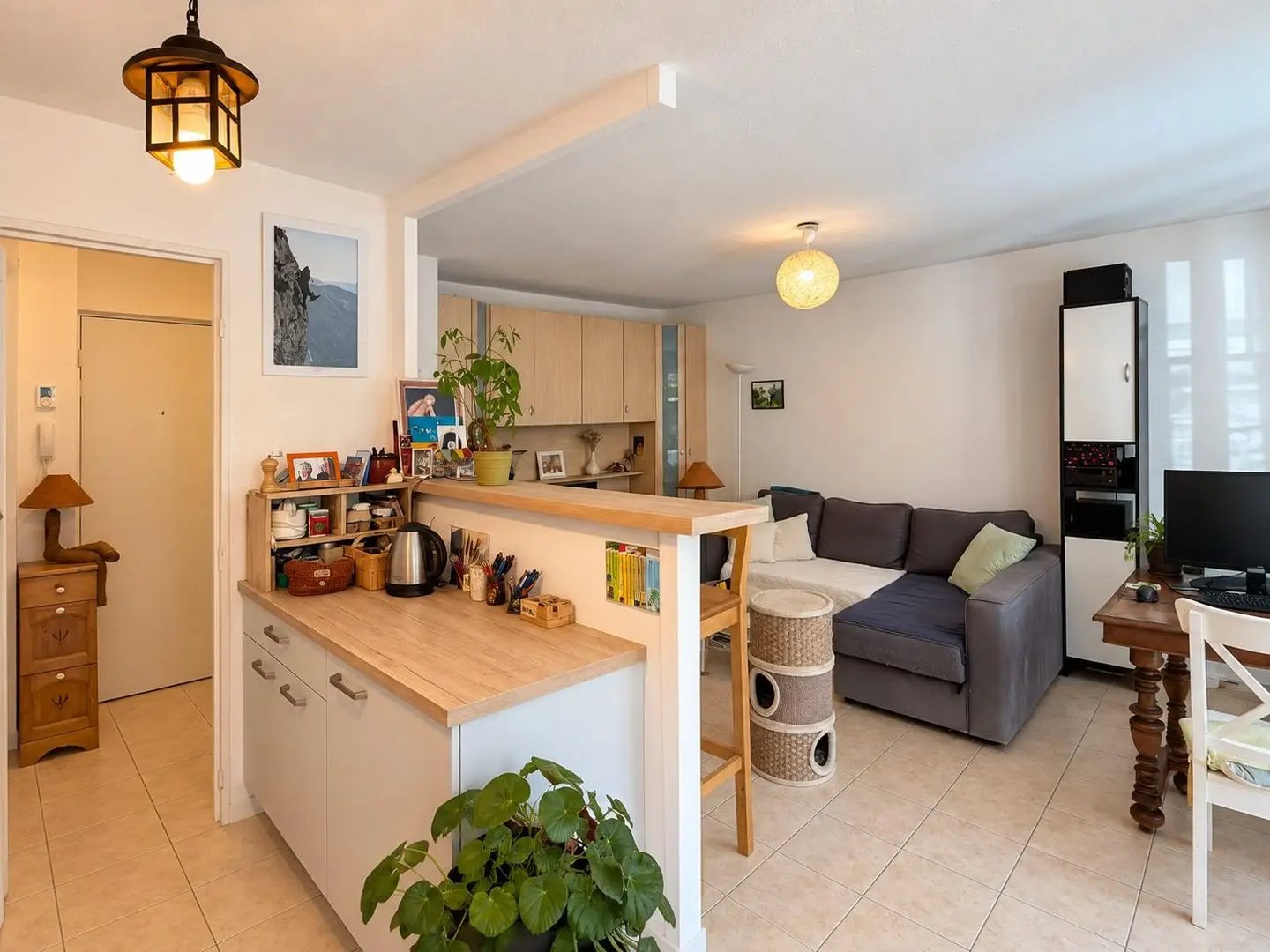 Appartement à vendre, 44m², Gex