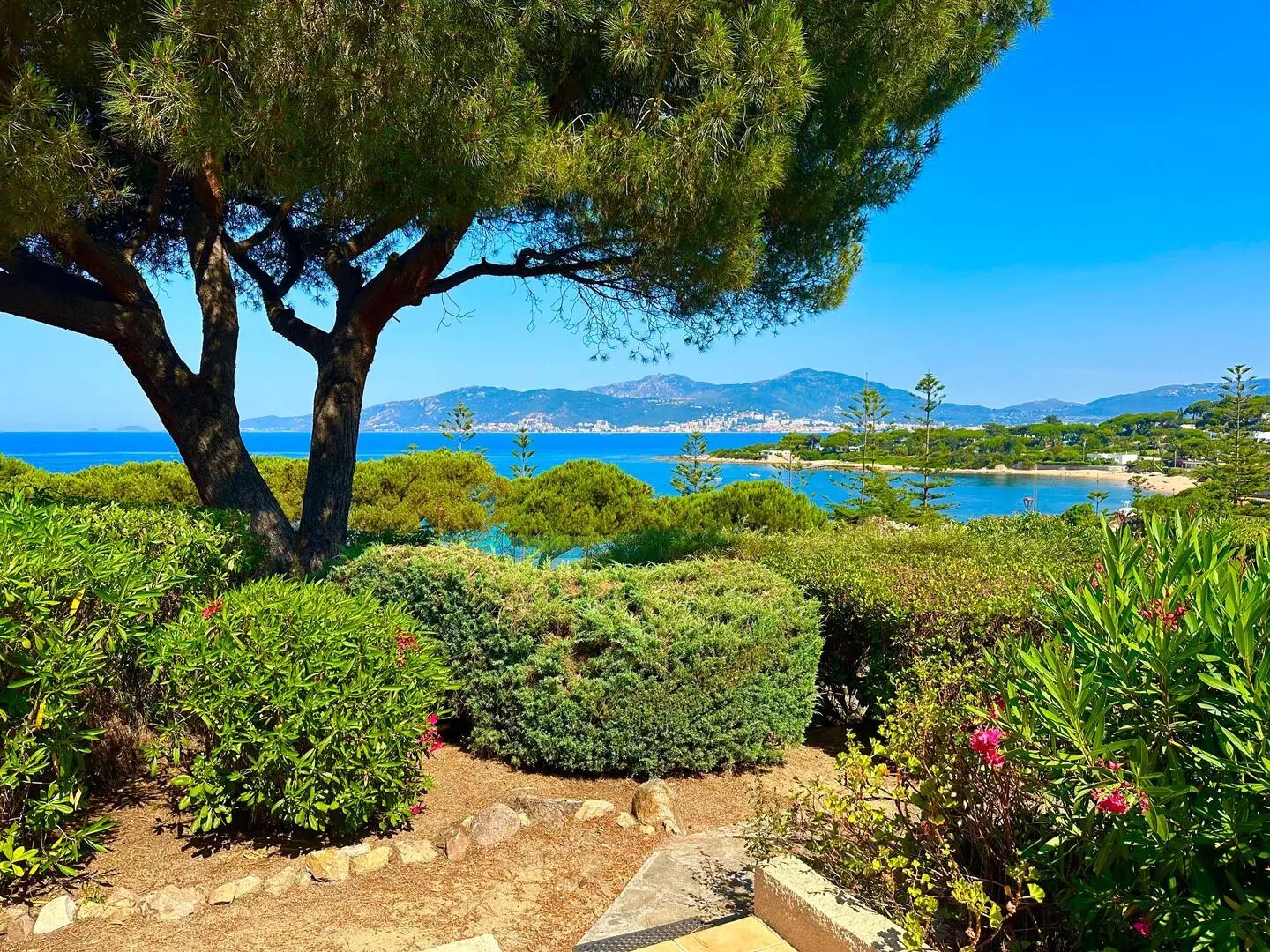 Maison à vendre, 38m², Grosseto-Prugna