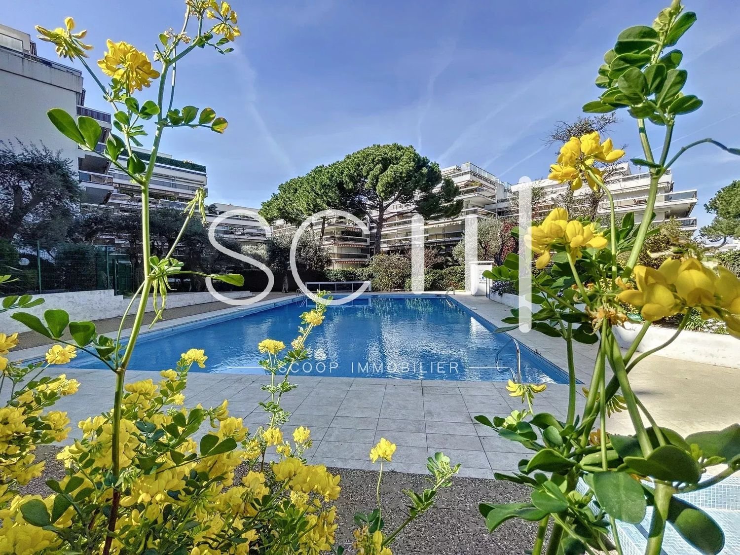 Appartement à vendre, 24m², Antibes