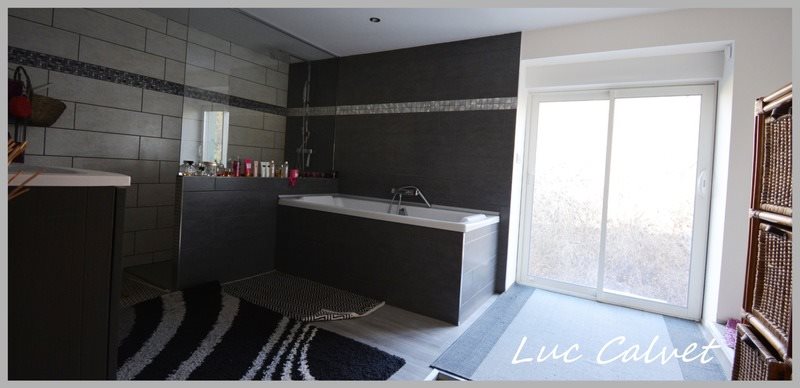 Maison à vendre, 390m², Puylaurens