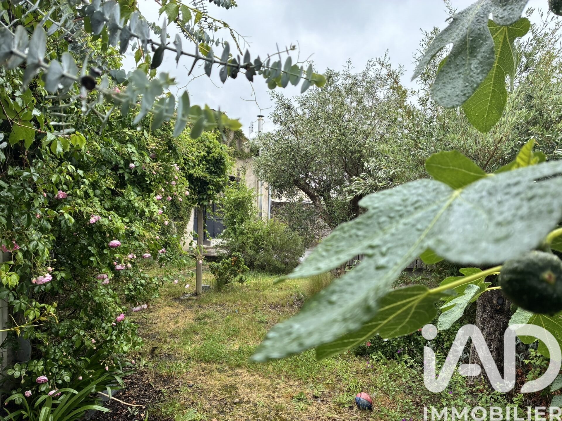 Maison à vendre, 220m², Chalonnes-sur-Loire