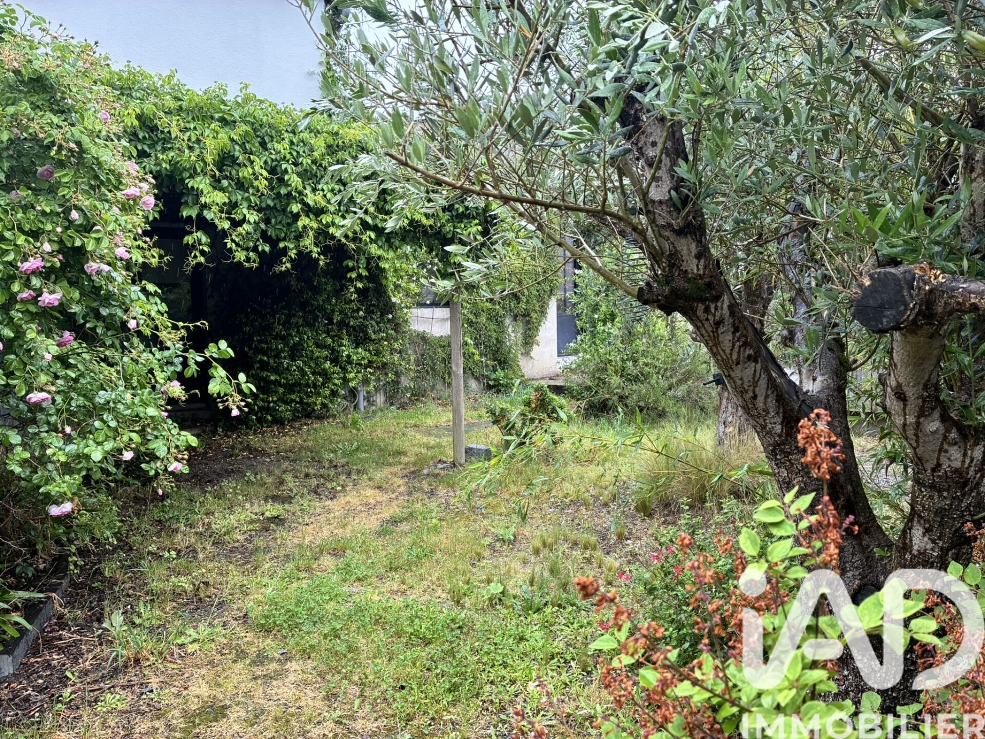 Maison à vendre, 220m², Chalonnes-sur-Loire
