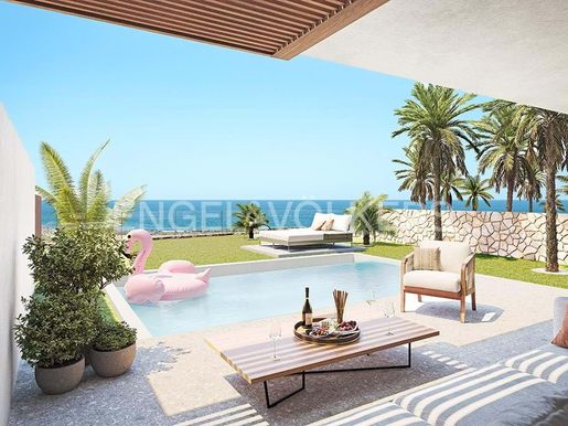 Adeje (Tenerife) photo 2