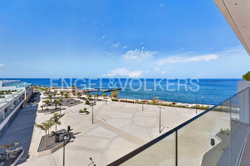 Adeje (Tenerife) photo 3