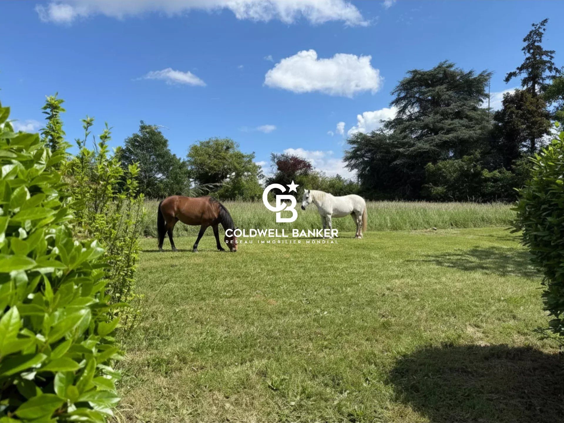 Maison à vendre, 400m², Saint-Cyr-sur-Loire