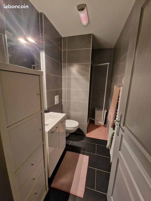 Appartement à louer, 40m², Metz