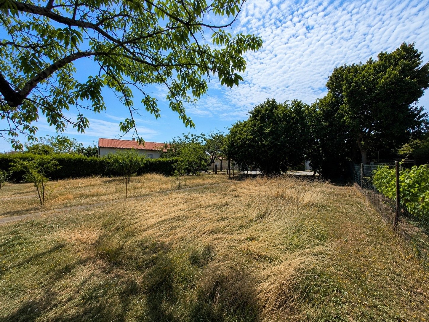Maison à vendre, 236m², Gétigné