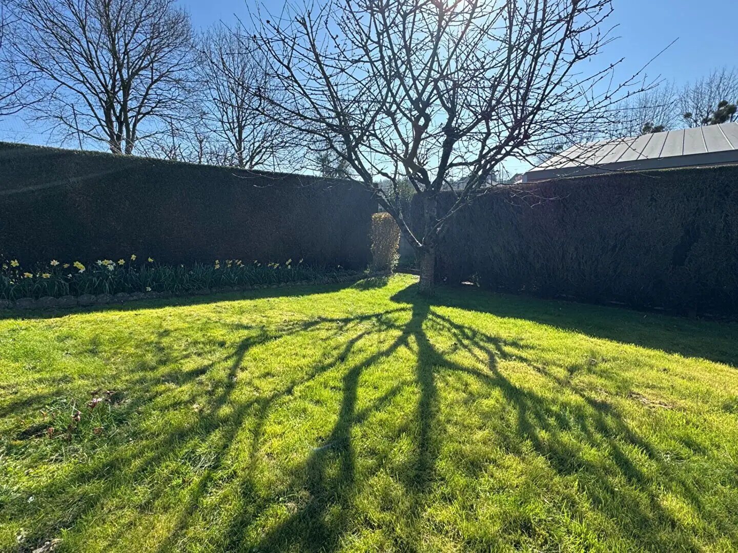 Maison à vendre, 95m², Vitré