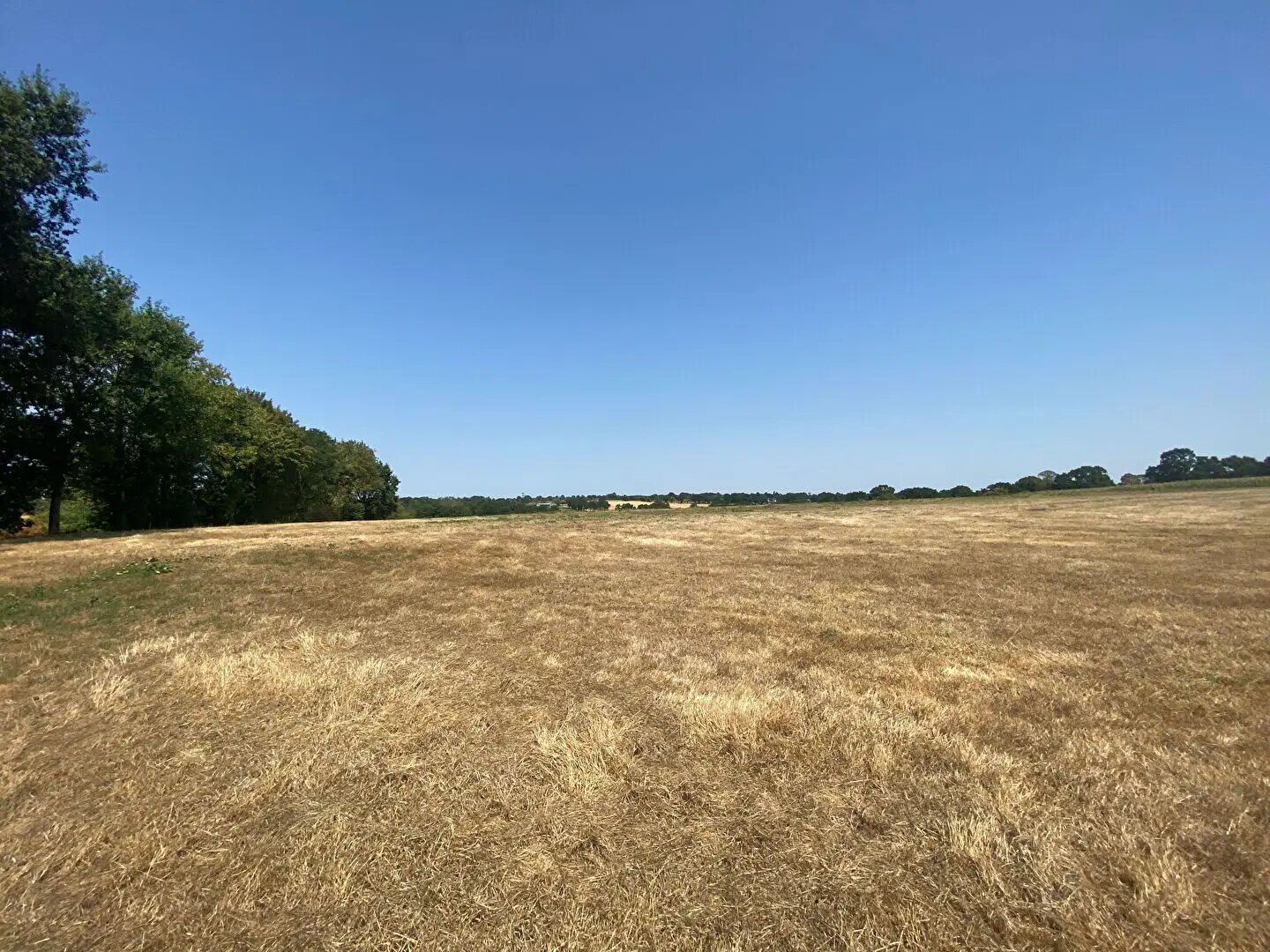 Maison à vendre, 270m², Val-d'Izé