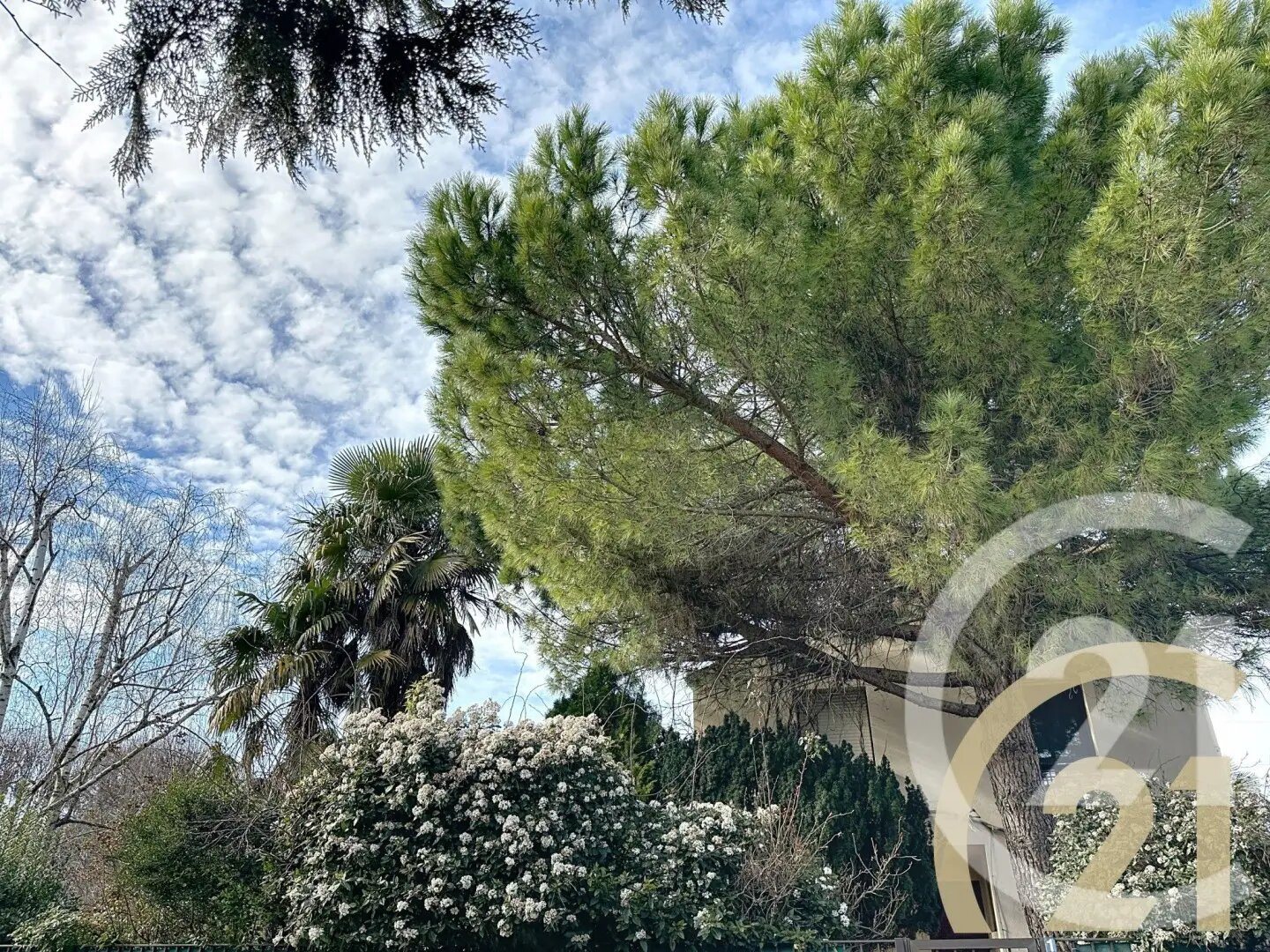 Maison à vendre, 155m², Chevilly-Larue