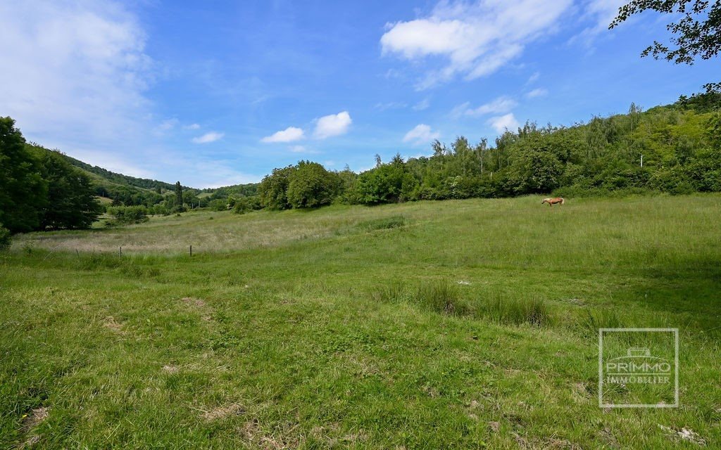 Maison à vendre, 241m², Quincié-en-Beaujolais