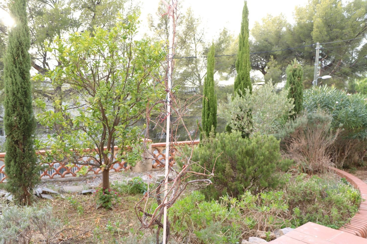 Appartement à louer, 24m², Toulon
