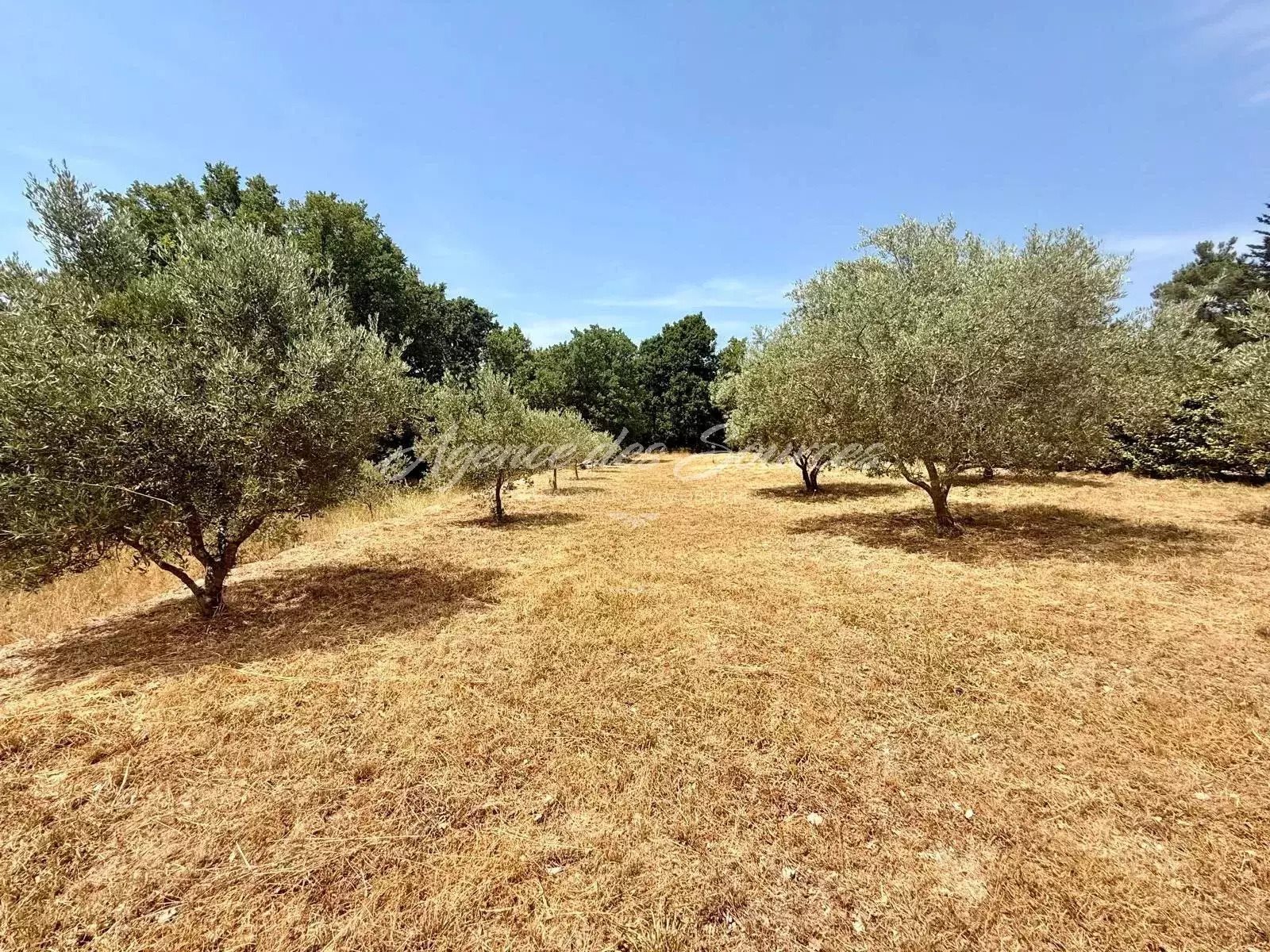 Maison à vendre, 2063m², Varages