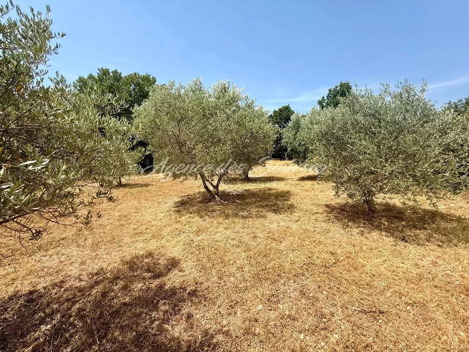 Maison à vendre, 2063m², Varages