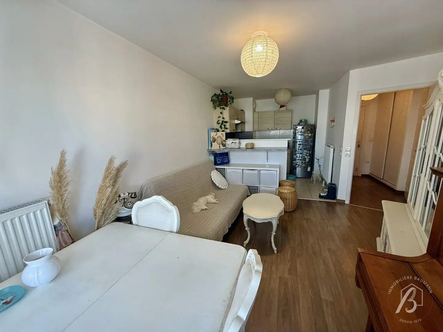 Appartement à vendre, 40m², Strasbourg
