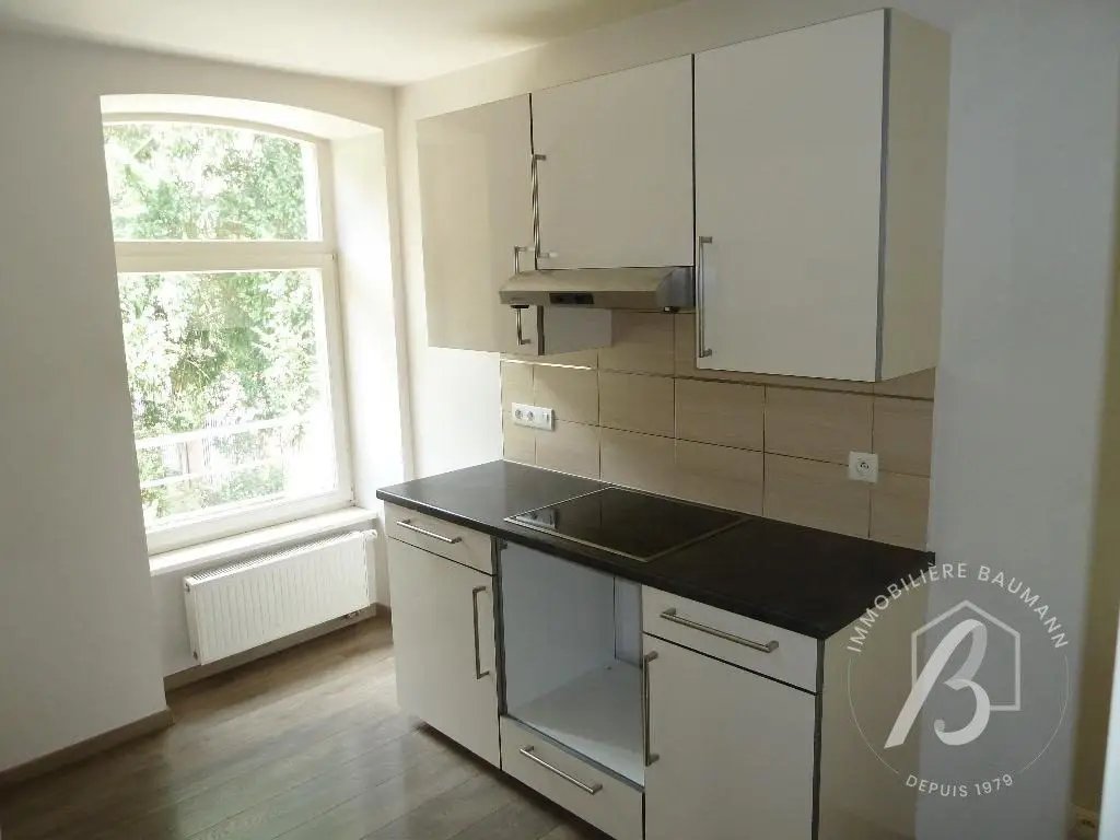 Appartement à louer, 93m², Mutzig