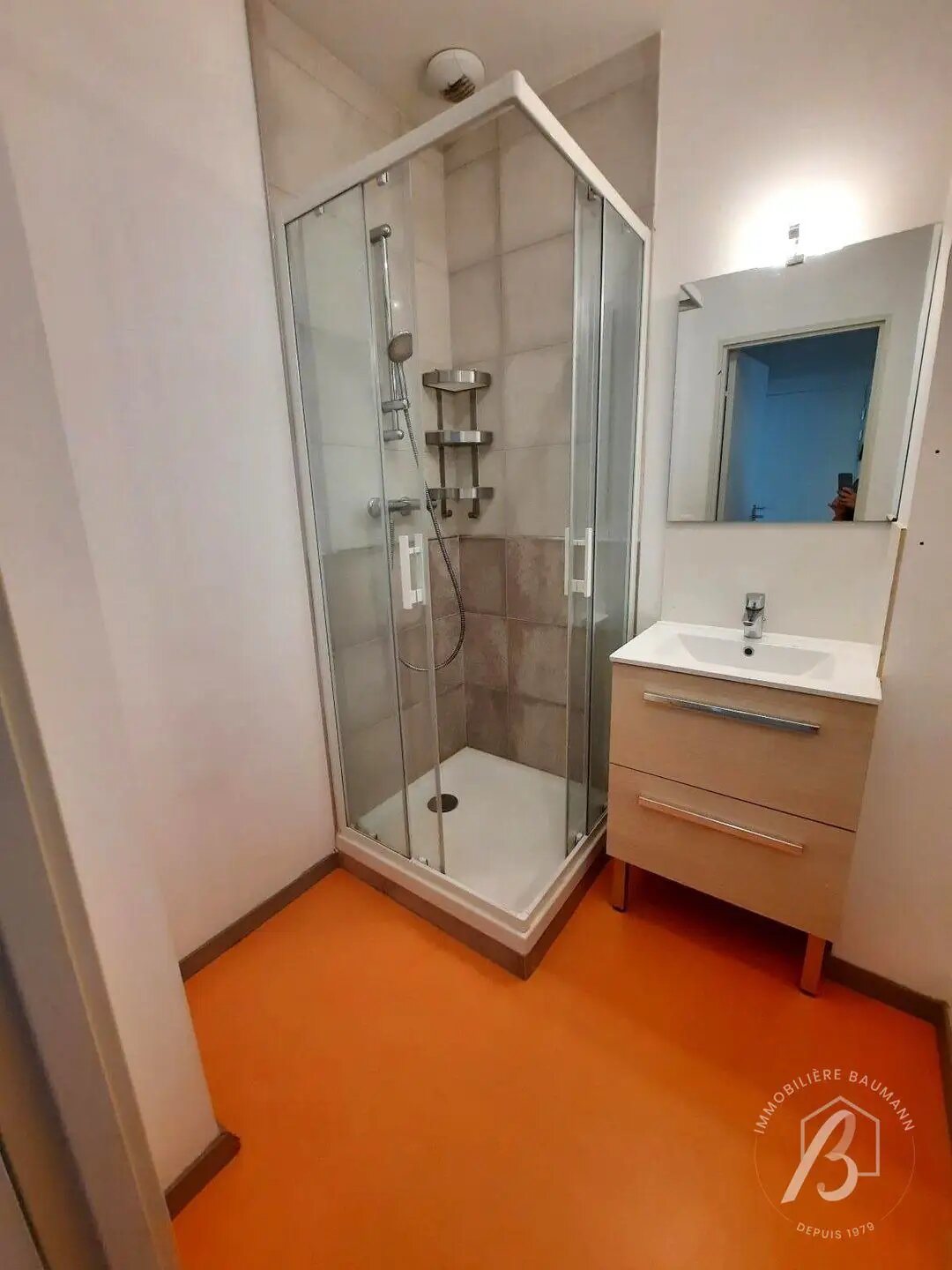 Appartement à vendre, 380m², Schiltigheim