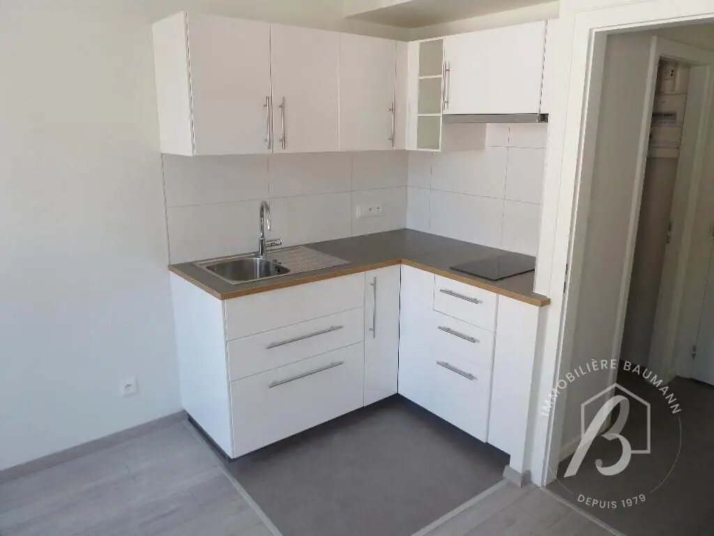 Appartement à louer, 21m², Dorlisheim