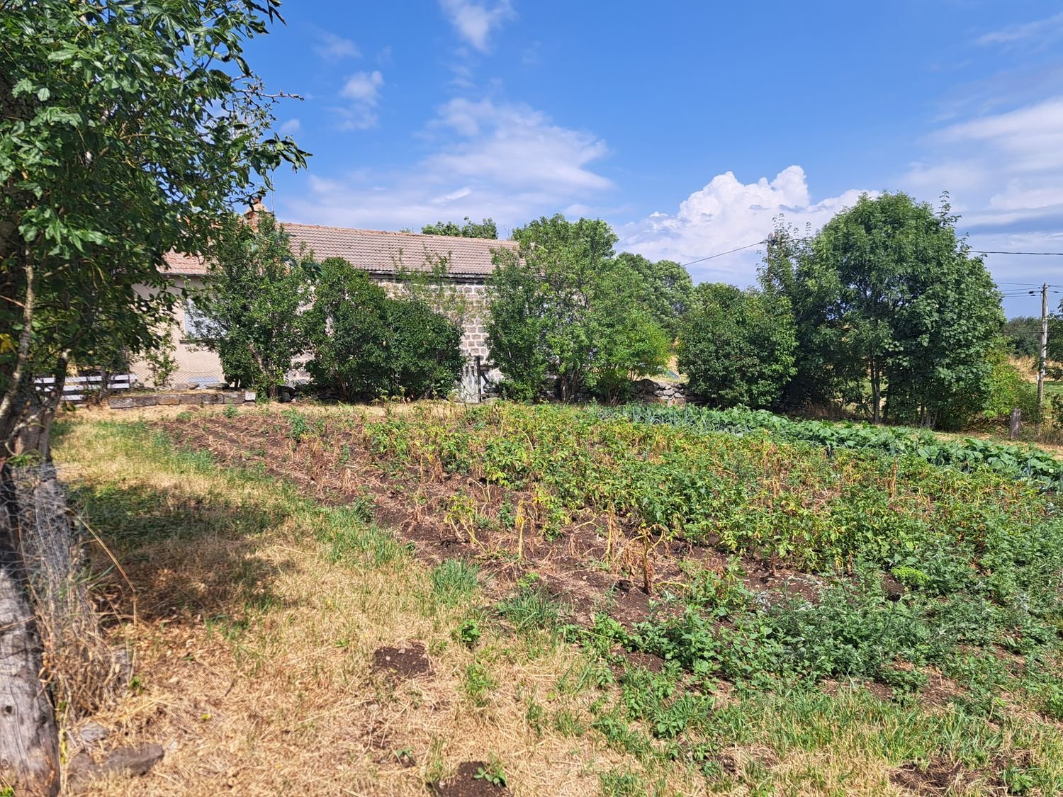 Maison à vendre, 200m², Mazet-Saint-Voy