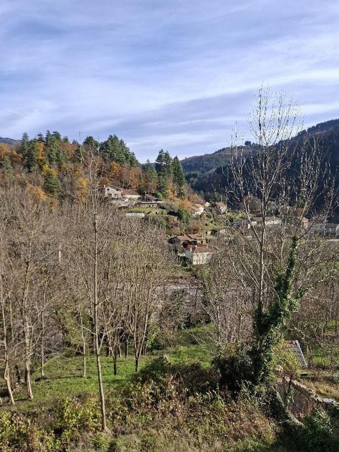 Maison à vendre, 180m², Saint-Martin-de-Valamas