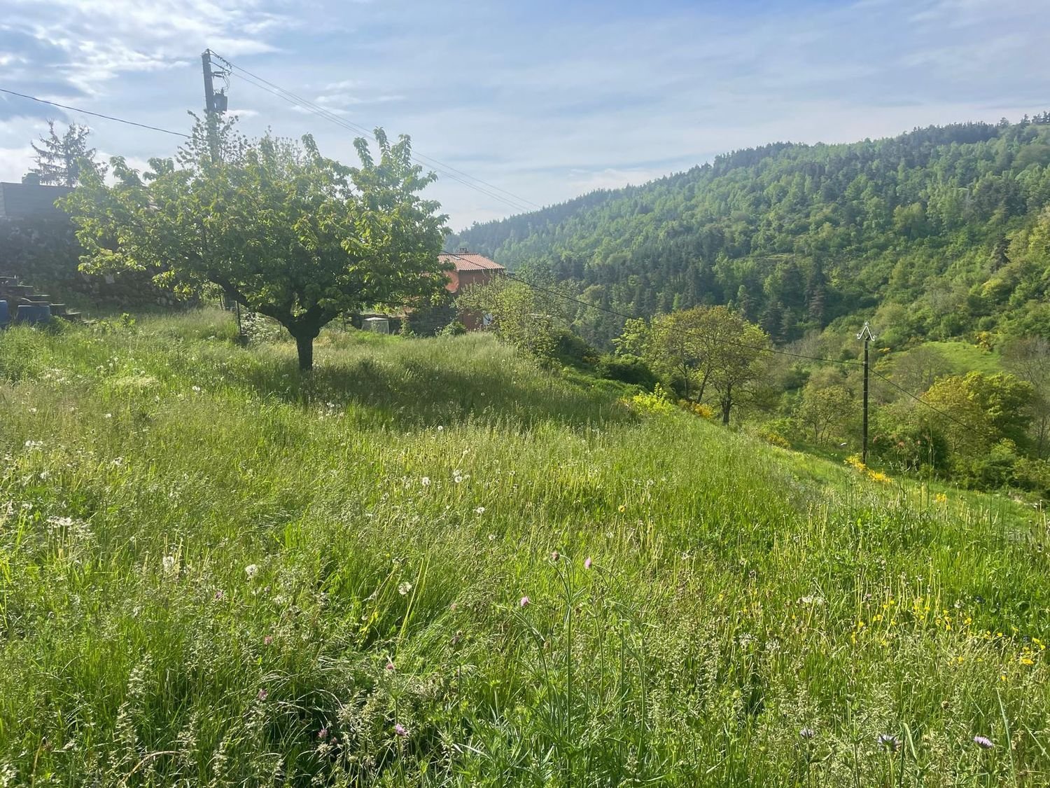 Maison à vendre, 70m², Grandrieu