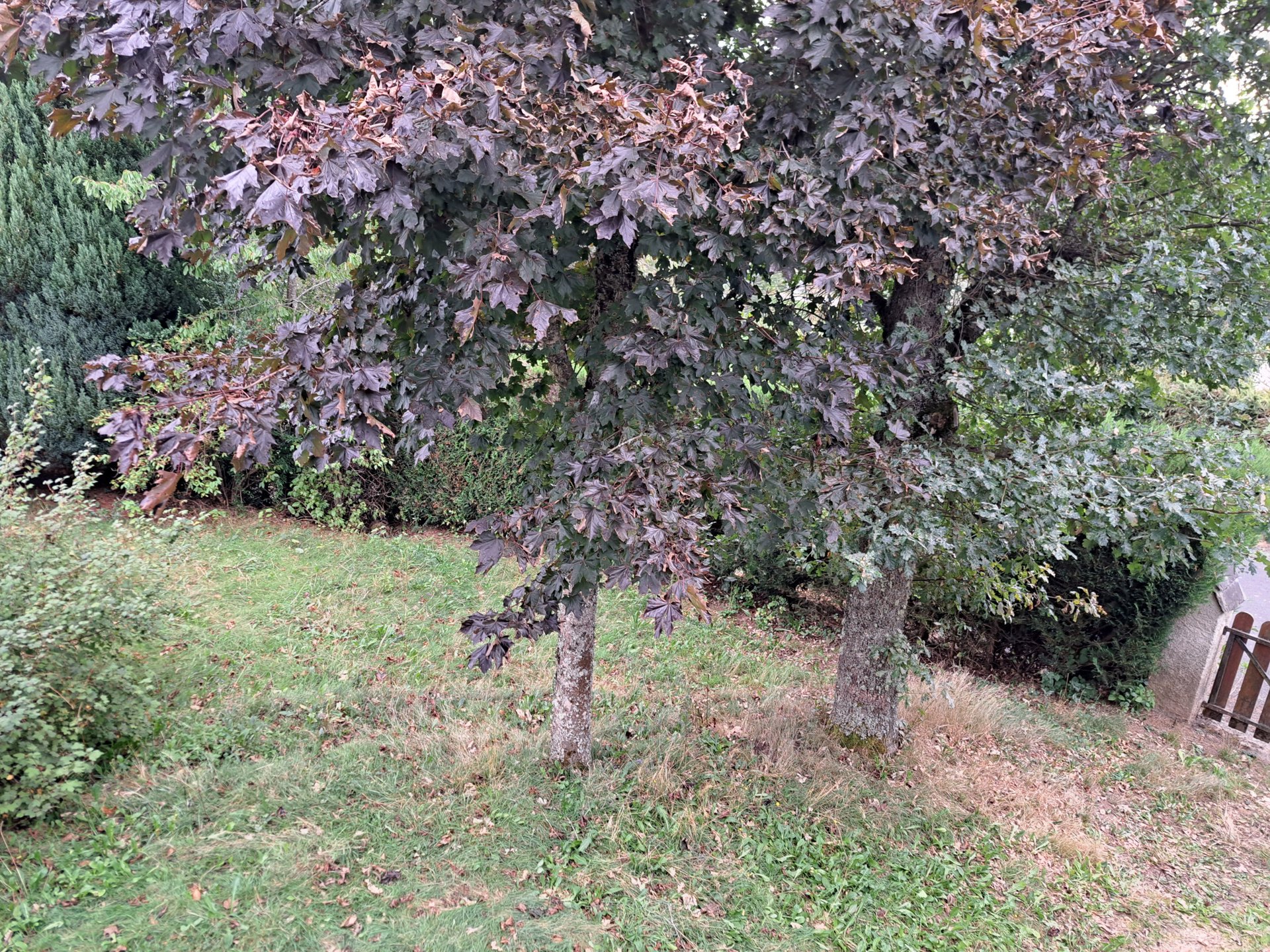 Maison à vendre, 70m², Le Chambon-sur-Lignon