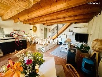 Maison à vendre, 452m², Aigues-Mortes
