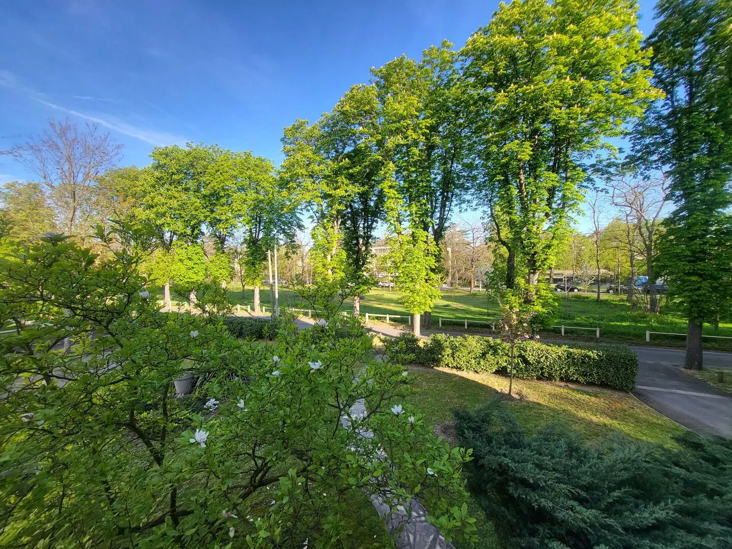 Appartement à louer, 32m², Maisons-Laffitte