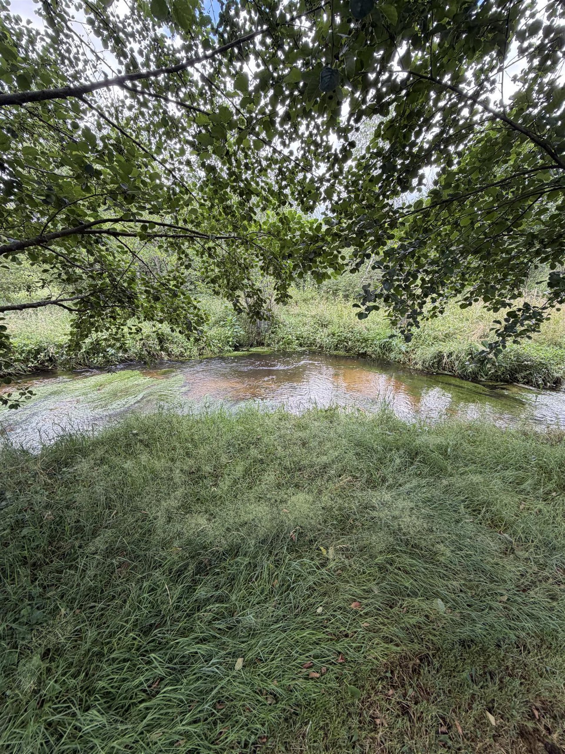 Maison à vendre, 170m², Hadol