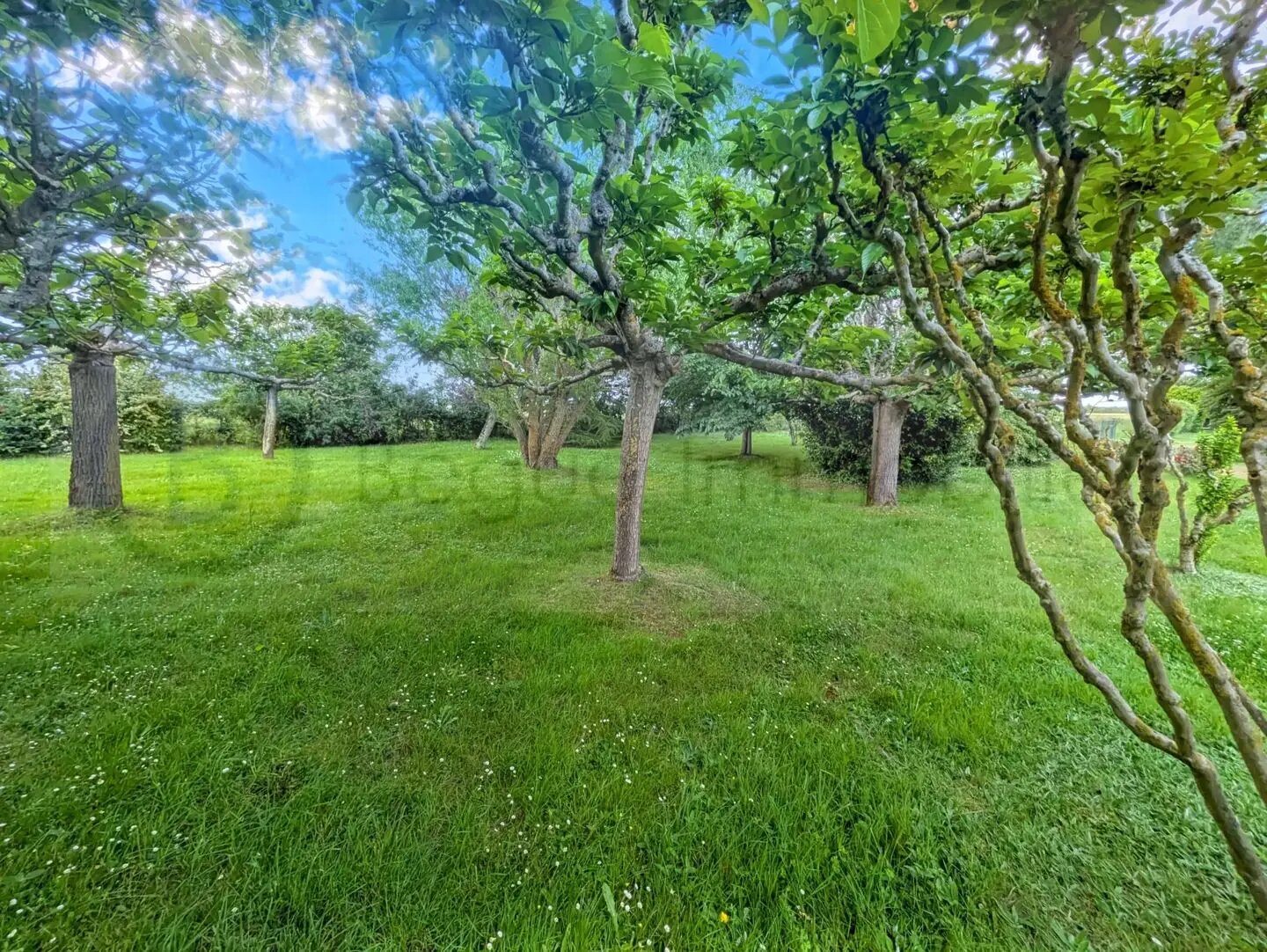 Maison à vendre, 152m², Pibrac