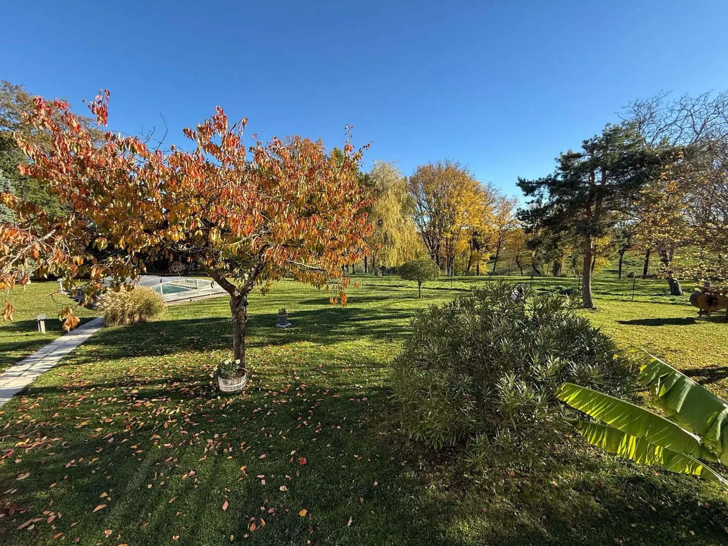 Maison à vendre, 220m², Serbannes