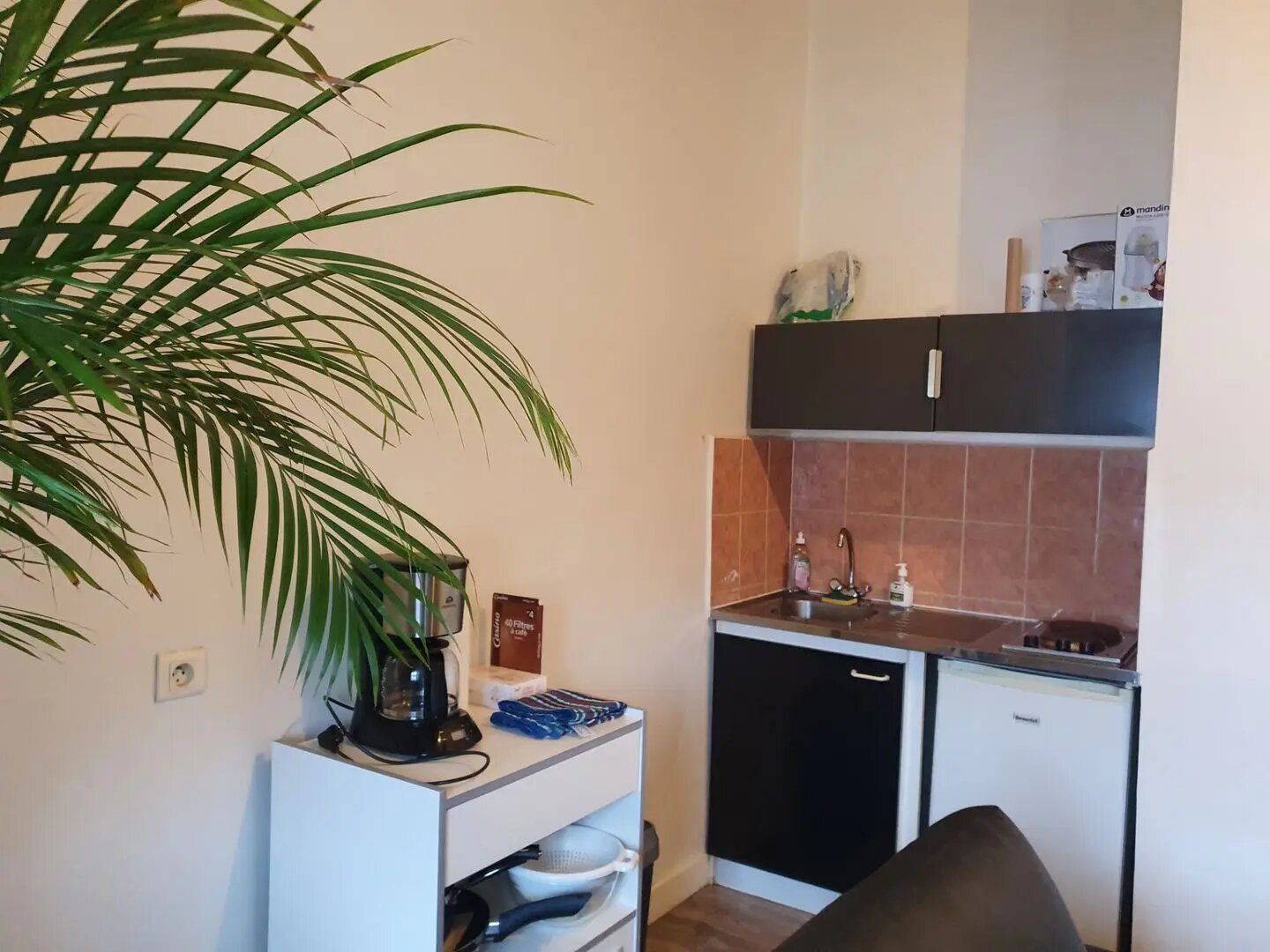 Appartement à louer, 34m², Cusset
