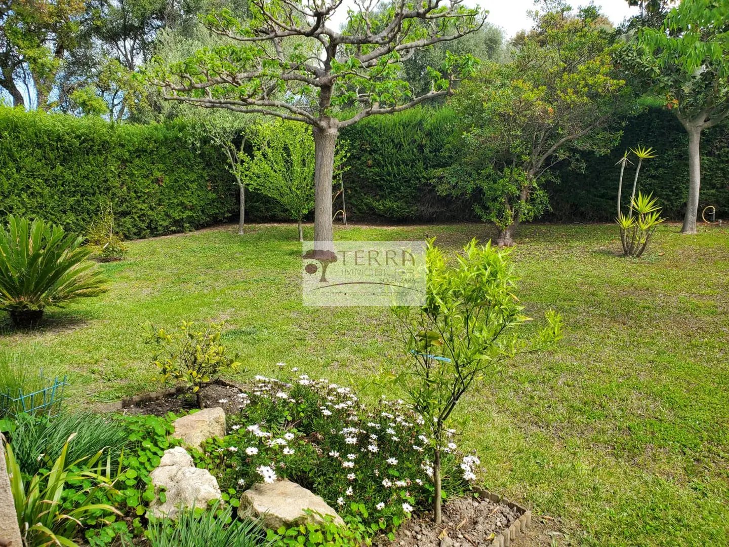 Maison à vendre, 144m², Ghisonaccia