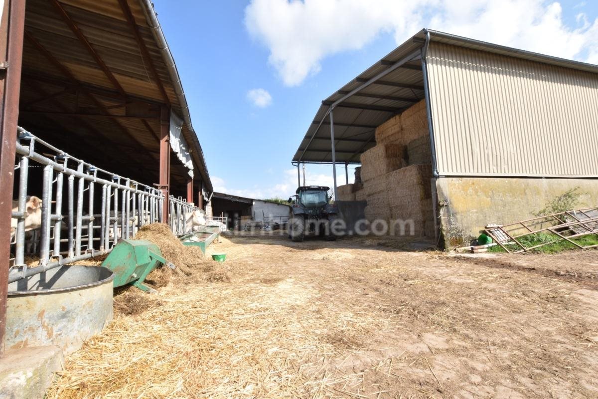 Maison à vendre, 112m², Domaize