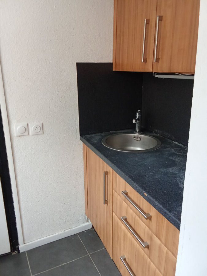 Appartement à louer, 43m², Lille