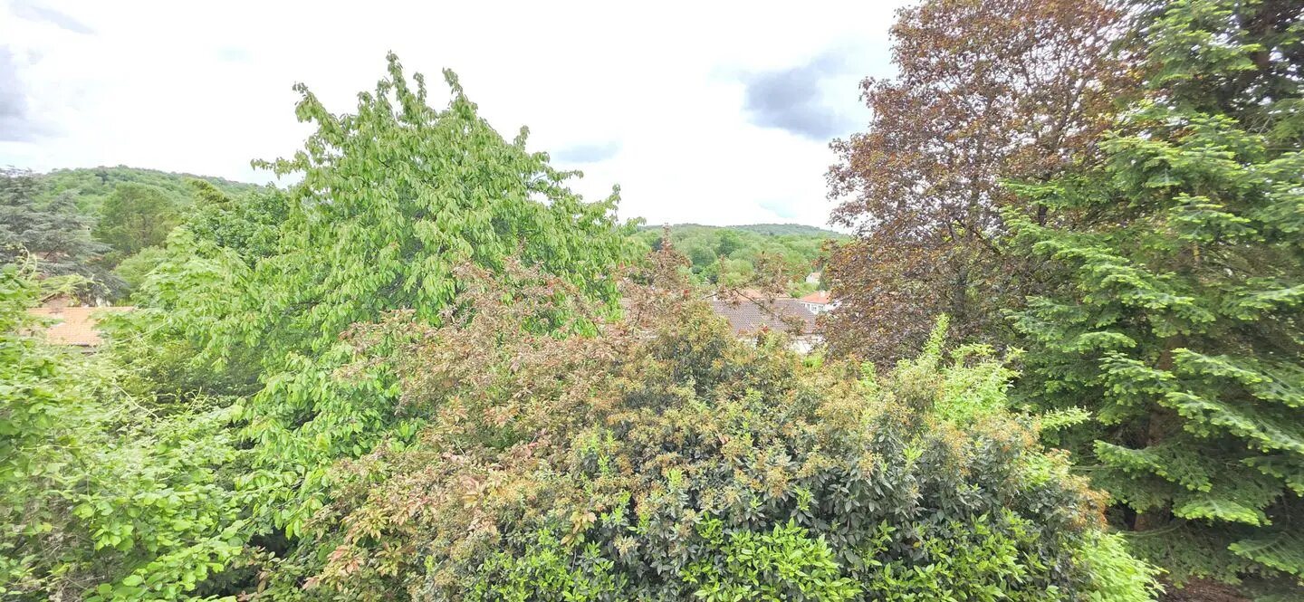 Maison à vendre, 155m², Châtel-Saint-Germain