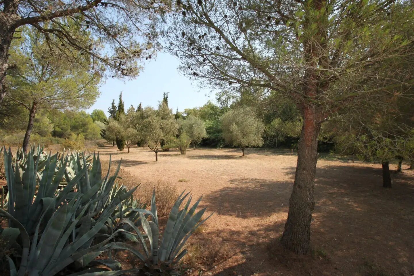 Maison à vendre, 192m², Montagnac