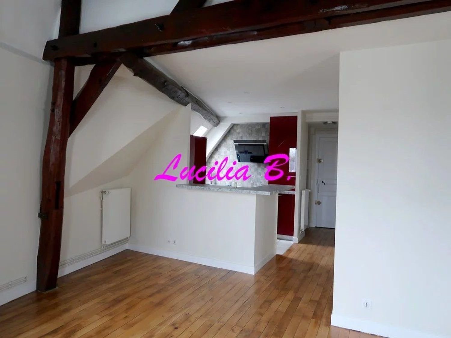 Appartement à louer, 47m², Tours