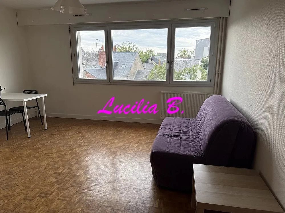 Appartement à louer, 27m², Tours