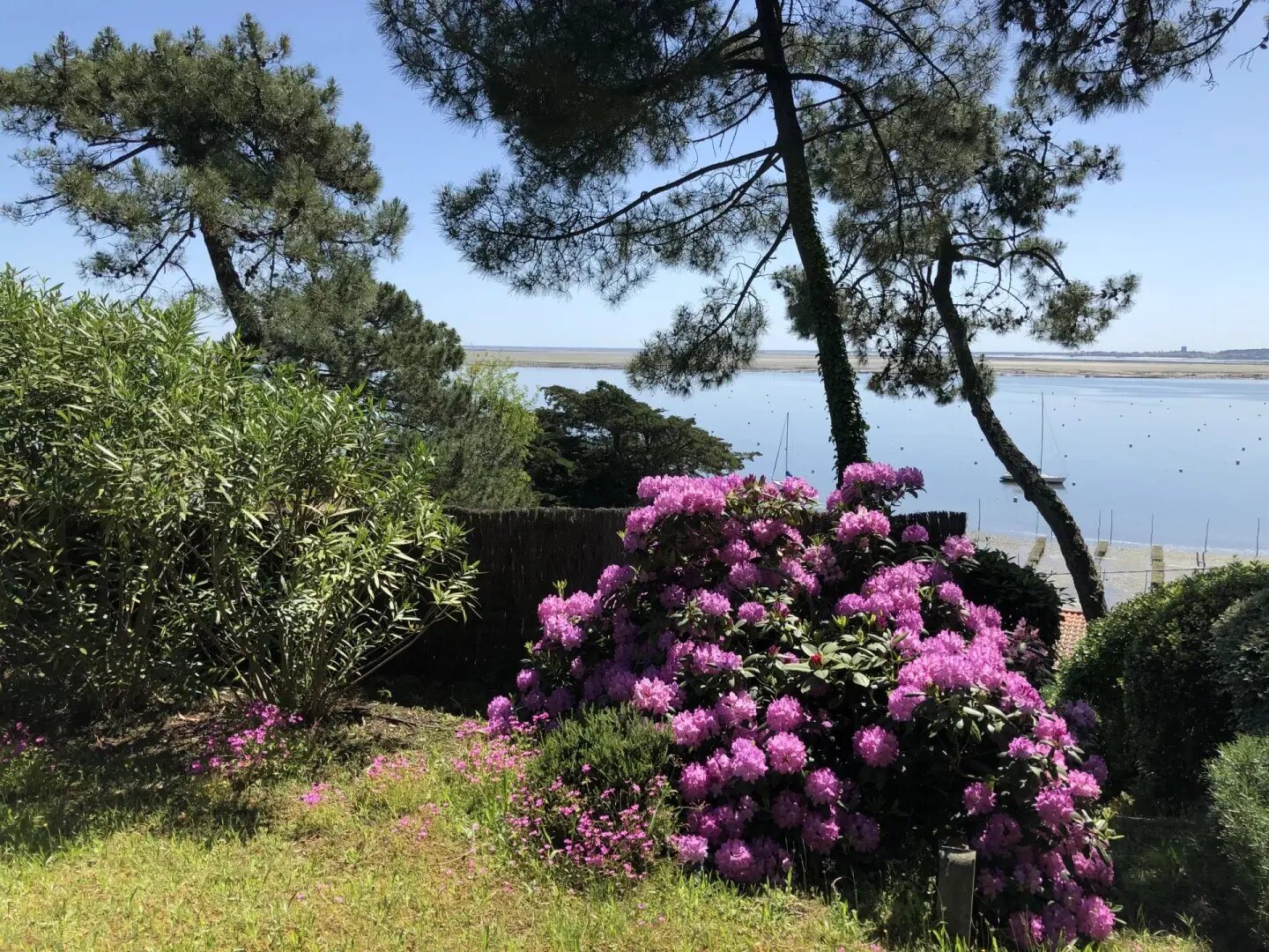 Maison à vendre, 186m², Lège-Cap-Ferret