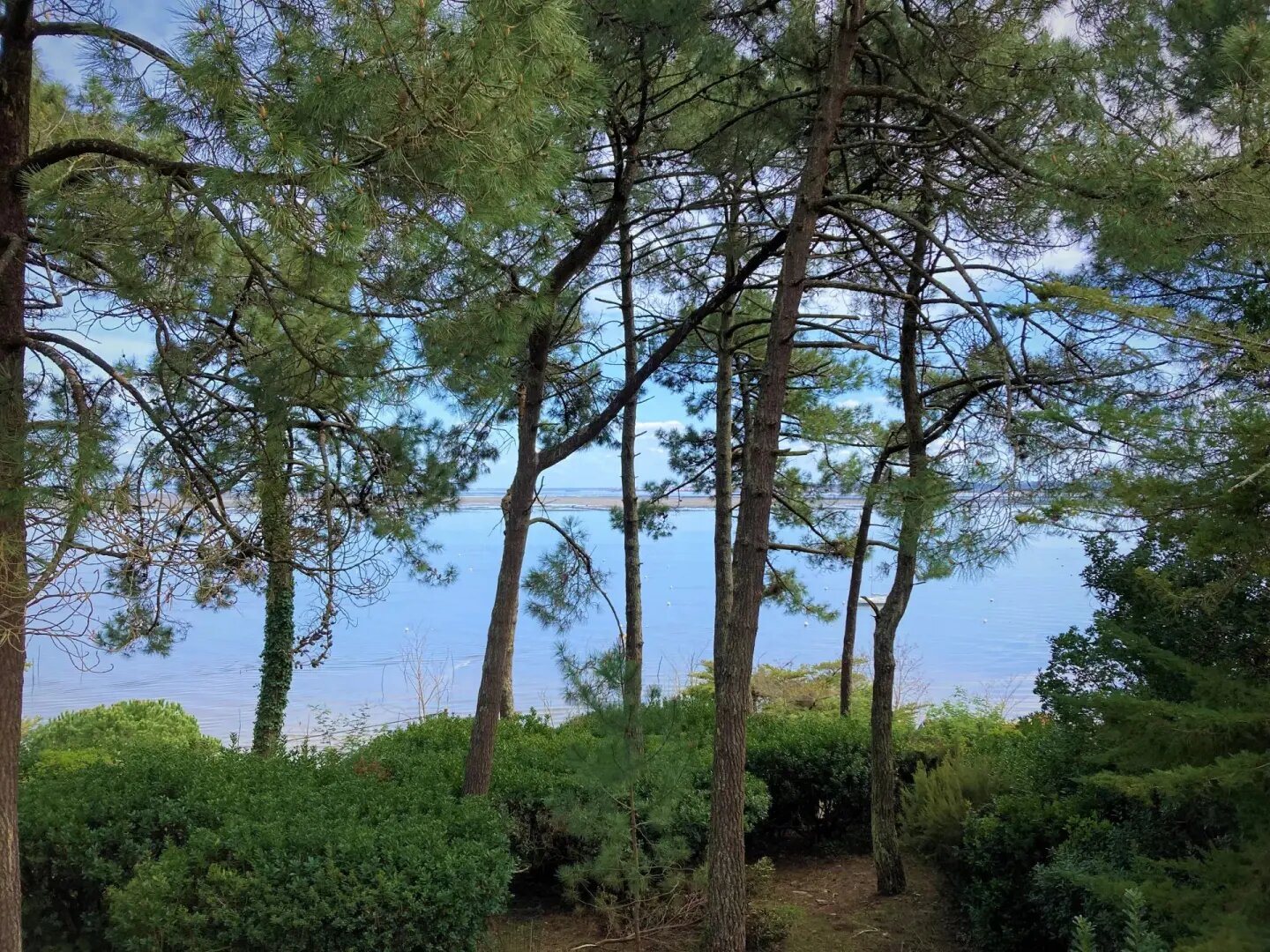 Maison à vendre, 186m², Lège-Cap-Ferret