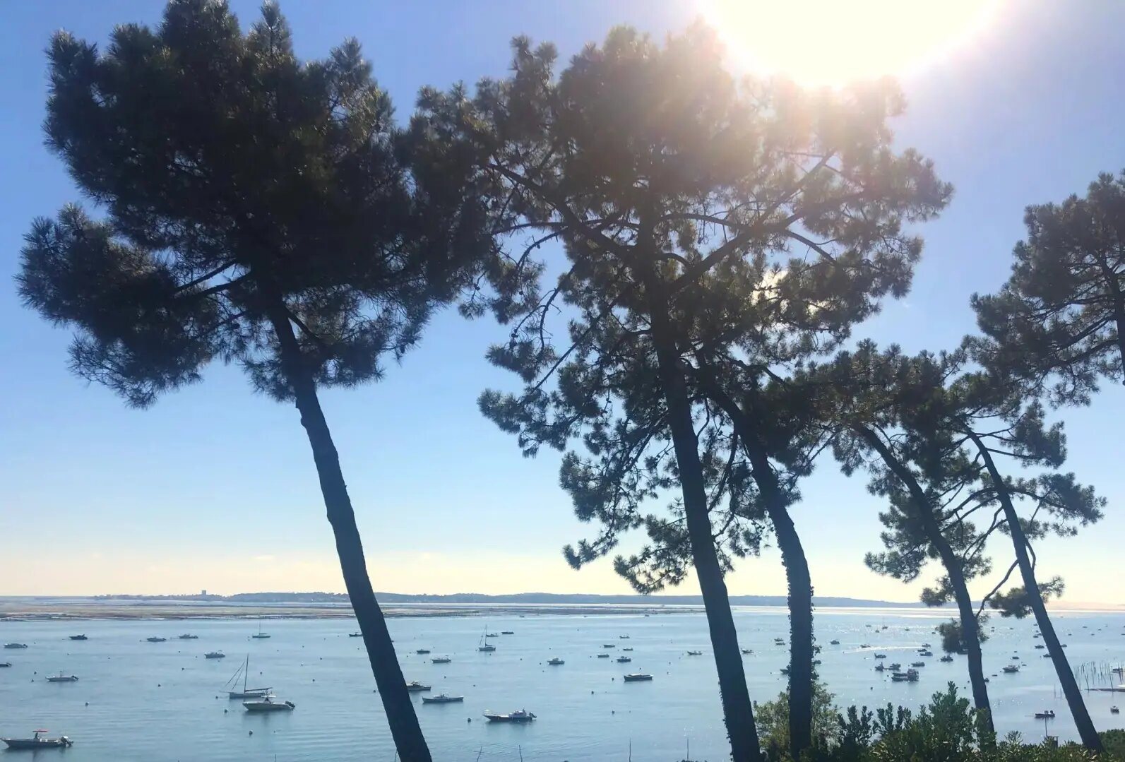 Maison à vendre, 186m², Lège-Cap-Ferret
