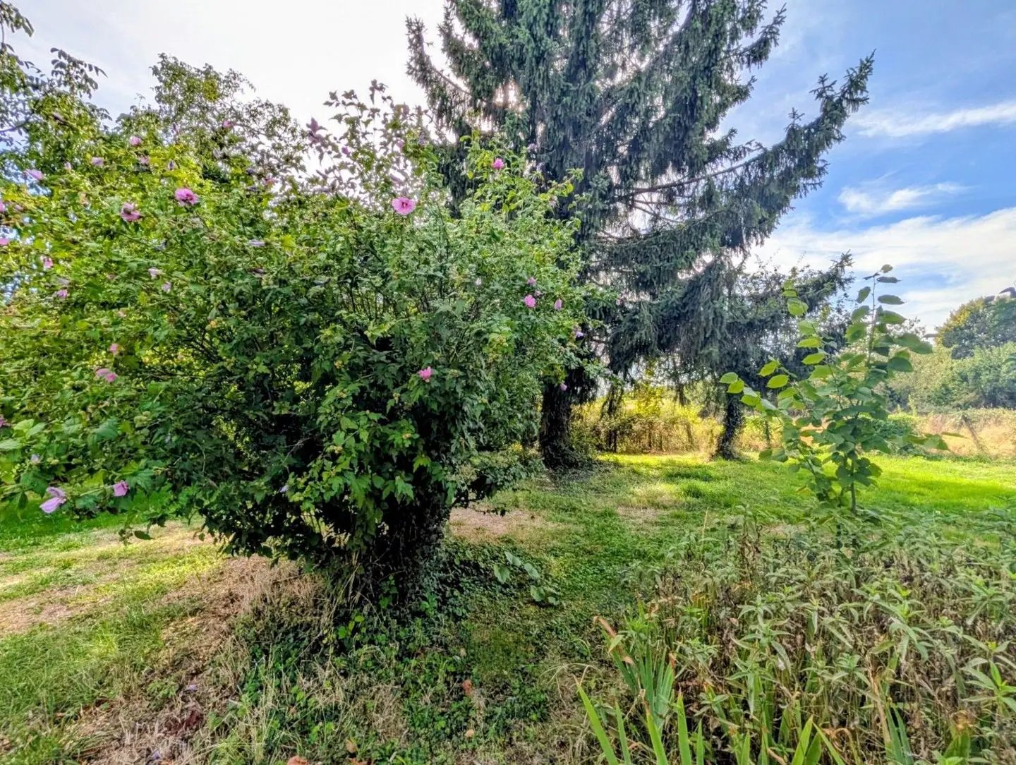 Maison à vendre, 149m², Saint-Hilaire-de-la-Côte