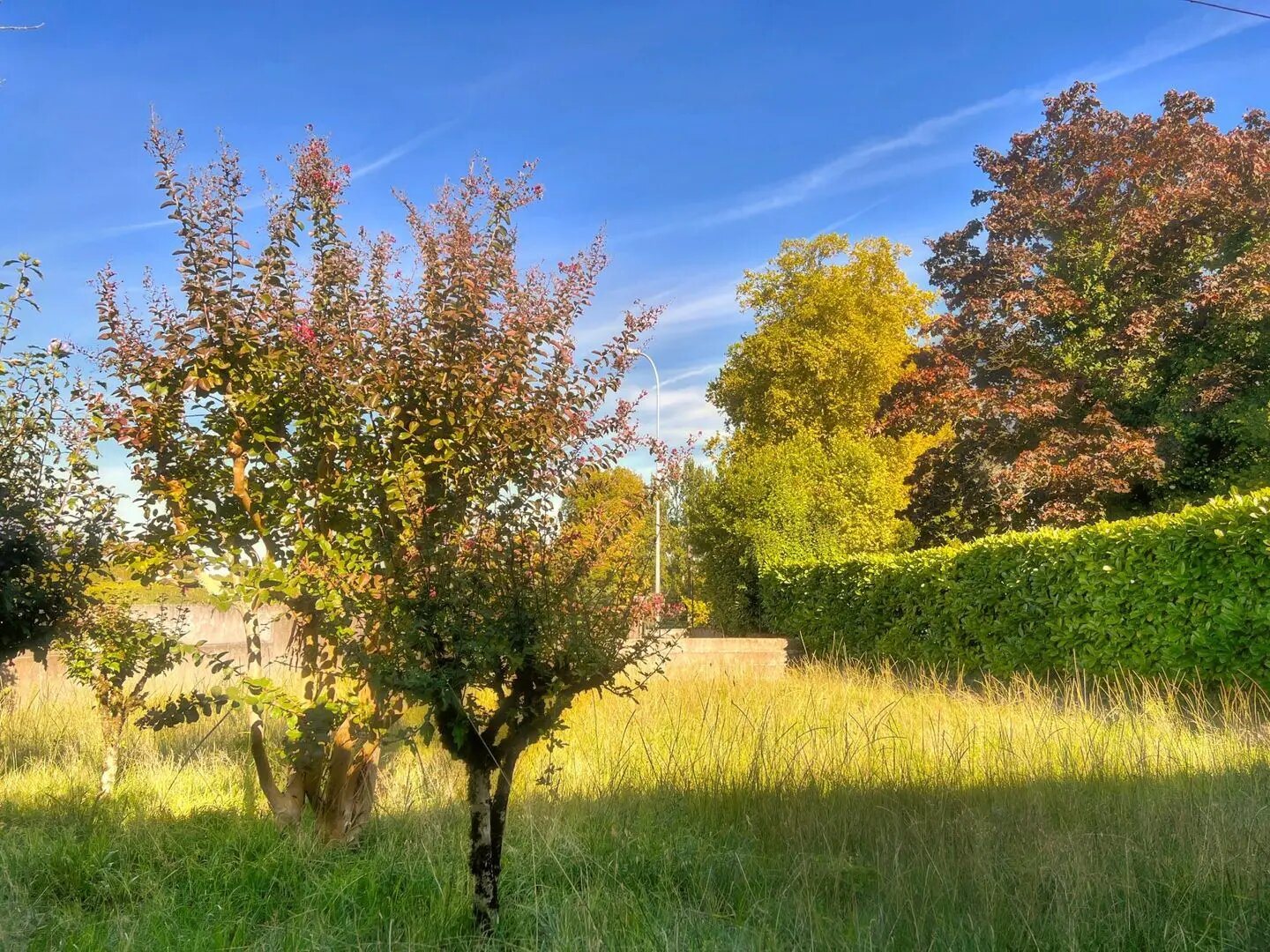 Maison à vendre, 130m², Léognan